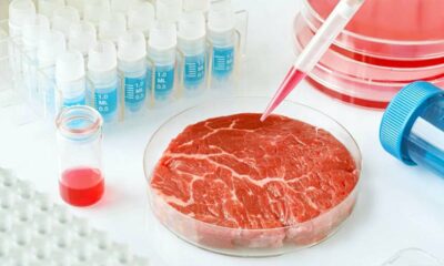 Israel: Surge la primera fábrica de carne cultivada en laboratorio.