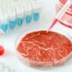 Israel: Surge la primera fábrica de carne cultivada en laboratorio.