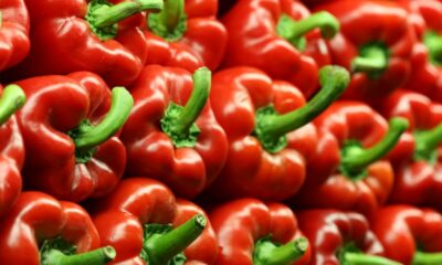 Astronautas cultivan pimiento por primera vez en la EEI.