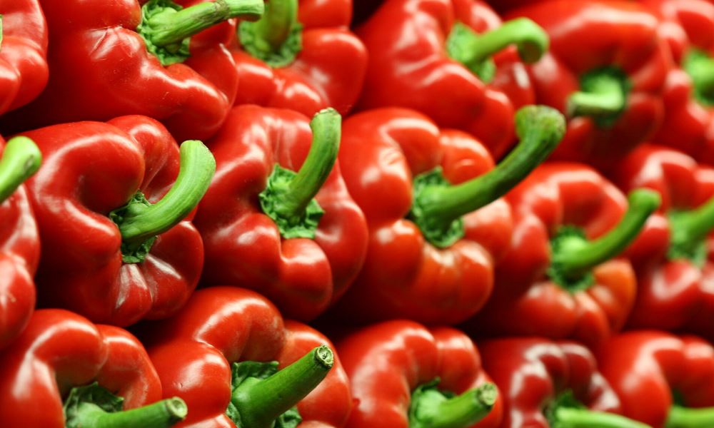 Astronautas cultivan pimiento por primera vez en la EEI. Astronautas cultivan pimiento por primera vez en la EEI.
