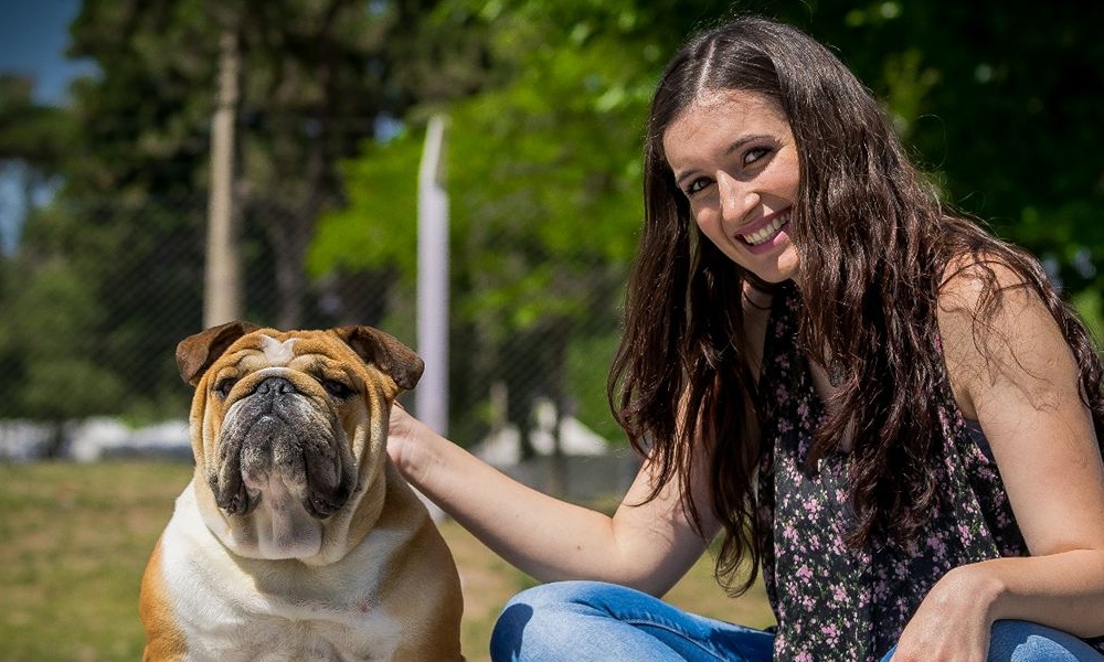 21 de julio: Día mundial del perro y compañero de vida. 21 de julio: Día mundial del perro y compañero de vida.