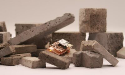 Crean un ‘robot-cucaracha’ resistente a los pisotones humanos.