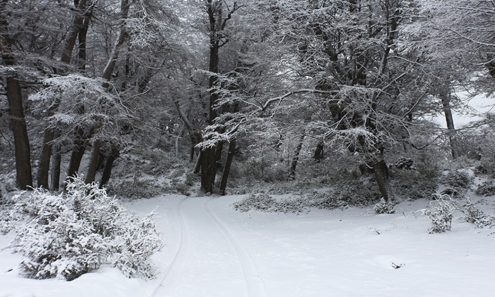 Chubut: El Parque de Nieve en Trevelin combina turismo con identidad y cultura ancestrales. Chubut: El Parque de Nieve en Trevelin combina turismo con identidad y cultura ancestrales.