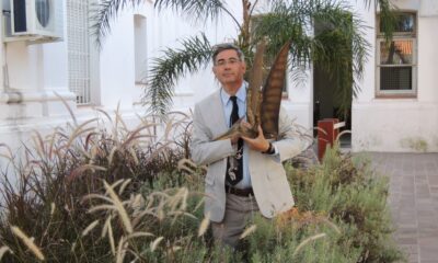 Entrevistamos a Hugo Pailos, el ingeniero que promueve un Jurassic Park robotizado.