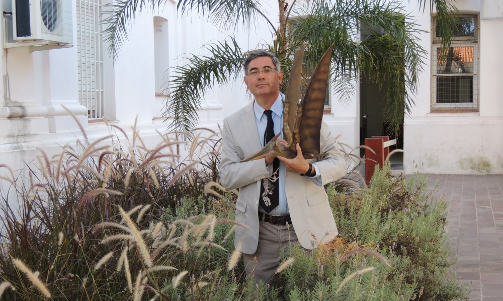 Entrevistamos a Hugo Pailos, el ingeniero que promueve un Jurassic Park robotizado. Entrevistamos a Hugo Pailos, el ingeniero que promueve un Jurassic Park robotizado.