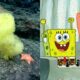 Científicos encuentran en el fondo del mar a Bob Esponja y Patricio.