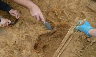 Irlanda: Arqueólogos encontraron una escultura pagana de 1.600 años de antigüedad.