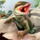 Hallaron en San Juan el eslabón perdido en la evolución de los lagartos.