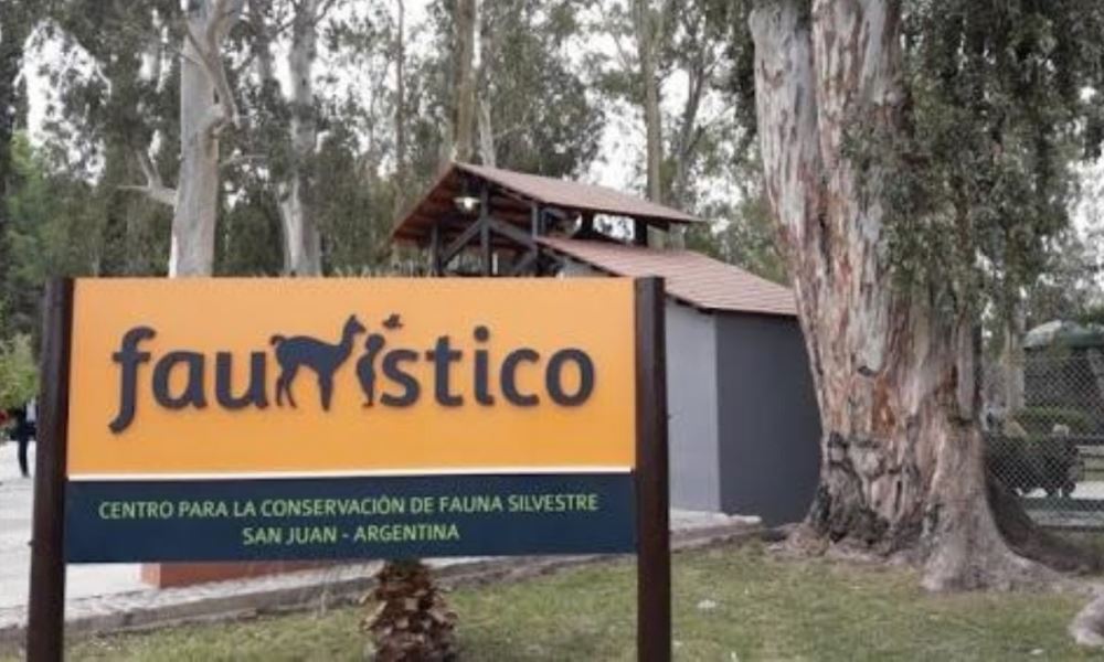 Menores de 12 años entrarán gratis al Parque Faunístico. Menores de 12 años entrarán gratis al Parque Faunístico.