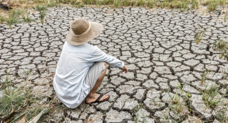 San Juan presentó el “Programa de Lucha contra la Desertificación”. San Juan presentó el “Programa de Lucha contra la Desertificación”.