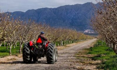 Eco-Agro turismo en 25 de Mayo y seguridad vial.