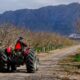 Eco-Agro turismo en 25 de Mayo y seguridad vial.