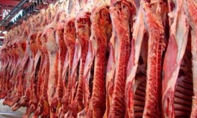 El Gobierno flexibiliza las restricciones a la exportación de carne.