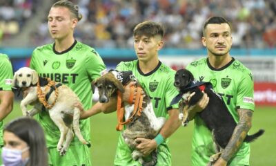 ¡Un golazo de cuatro patas! El fútbol rumano fomenta la adopción de perritos en cada partido.