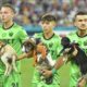¡Un golazo de cuatro patas! El fútbol rumano fomenta la adopción de perritos en cada partido.