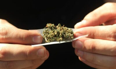 Denuncian que Vidal «estigmatiza a sector de la sociedad» por sus dichos sobre el cannabis.