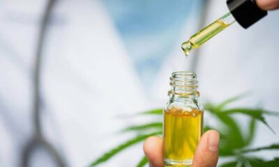 Jujuy: antes del 2022 iniciará la venta de aceite de cannabis en farmacias.