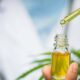 Jujuy: antes del 2022 iniciará la venta de aceite de cannabis en farmacias.