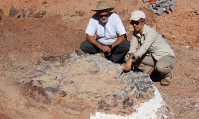 La «Cama de huesos» en el Parque Ischigualasto se convertiría en una nueva atracción turística.