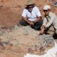 La «Cama de huesos» en el Parque Ischigualasto se convertiría en una nueva atracción turística.