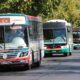 PASO: el domingo 12 se podrá viajar gratis en colectivo.