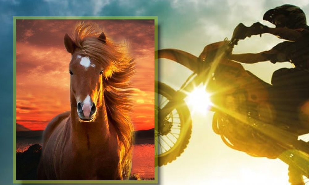 Familia Senatore: Con el deporte corriendo por sus venas. Una pasión por las motos y caballos, e incursión en el hockey y montañismo. Familia Senatore: Con el deporte corriendo por sus venas. Una pasión por las motos y caballos, e incursión en el hockey y montañismo.