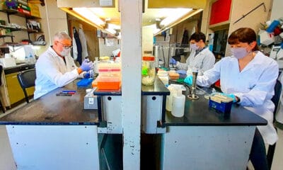 CoroVaxG.3, la vacuna argentina que demostró alta efectividad con una sola dosis.