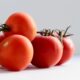Ponen en venta tomates con un genoma modificado para tratar la hipertensión.