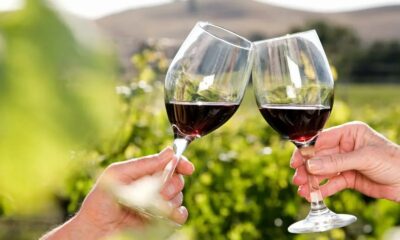 Conocé las cuatro señales esenciales para saber si un vino es bueno.