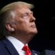 Trump: propaganda electoral y delito