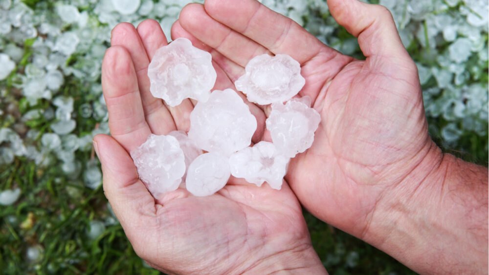 Una fuerte tormenta de granizo sorprendió a los vallistos. Una fuerte tormenta de granizo sorprendió a los vallistos.