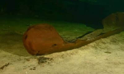México: Encuentran una canoa maya prehispánica de 1.000 años de antigüedad.