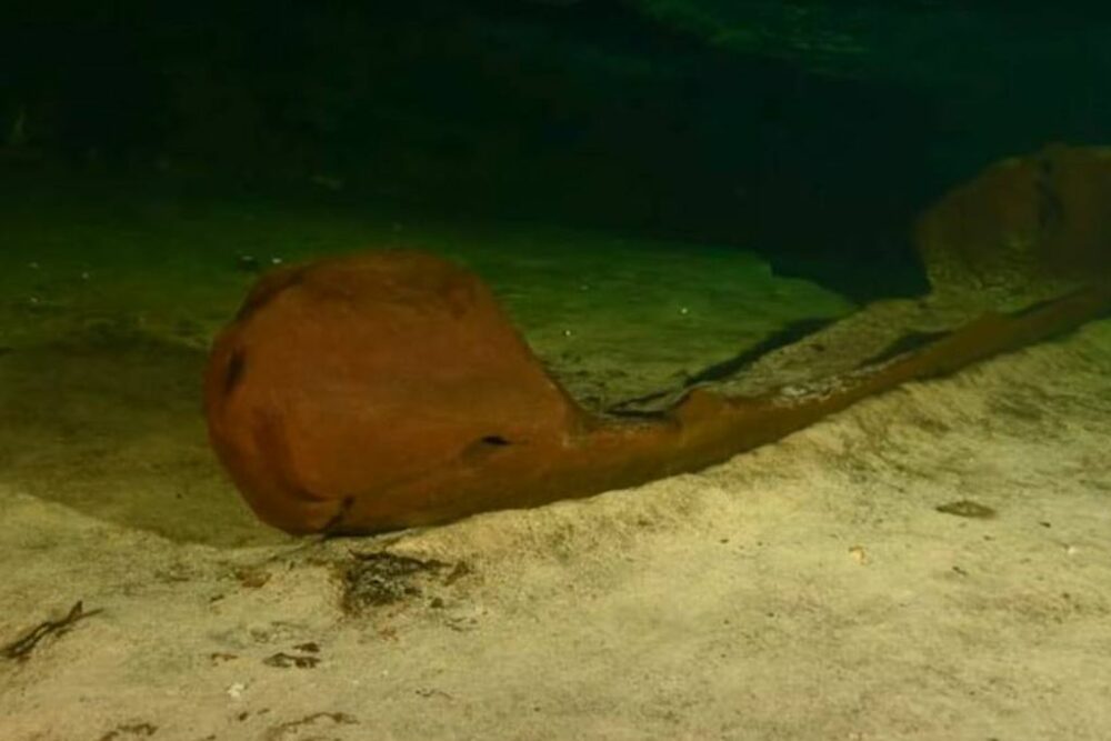 México: Encuentran una canoa maya prehispánica de 1.000 años de antigüedad. México: Encuentran una canoa maya prehispánica de 1.000 años de antigüedad.