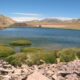 Castañeda sobre el Parque Provincial en la Estancia Los Manantiales: «ha sido un día muy importante para nosotros».