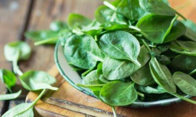 Científicos demuestran que consumir ciertos alimentos puede llegar a prevenir el Alzheimer.