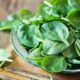 Científicos demuestran que consumir ciertos alimentos puede llegar a prevenir el Alzheimer.