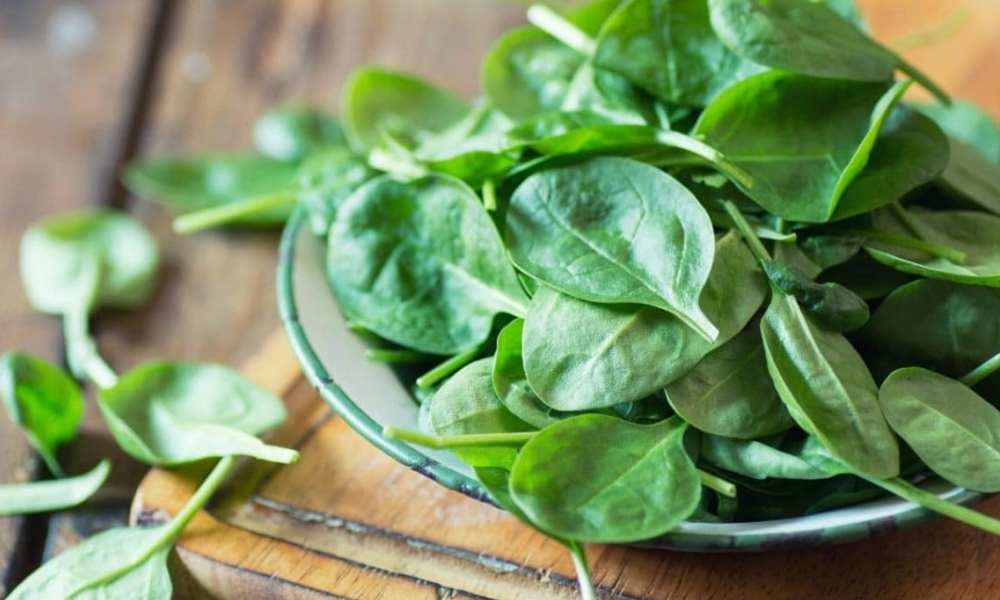 Científicos demuestran que consumir ciertos alimentos puede llegar a prevenir el Alzheimer. Científicos demuestran que consumir ciertos alimentos puede llegar a prevenir el Alzheimer.
