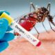 Desarrollan un antiviral «ultrapotente» capaz de tratar las cuatro variantes del virus responsable del dengue.