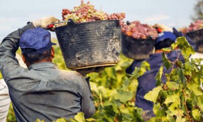 Ley de jubilación anticipada para obreros vitivinícolas: los repudios a Cáceres y Orrego continúan.
