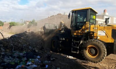 Ambiente trabaja en el saneamiento de lotes baldíos junto a la Municipalidad de la Capital.