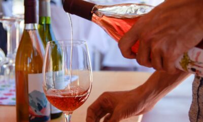 El enoturismo de San Juan fue la gran atracción en el cierre de las Jornadas del Vino.