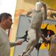 Pondrán una estatua de Maradona en San Juan.