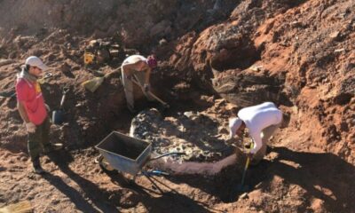 San Juan es un paraiso paleontológico: continúa con la exploración y recolección de fósiles.