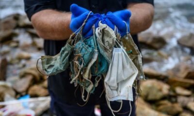 1.560 millones de mascarillas acabaron en los mares: la pandemia por Covid-19 y el exceso de residuos plásticos.