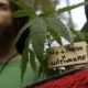 12° Marcha Nacional de la Marihuana: desde plaza de Mayo al Congreso.
