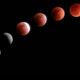 ¿Cómo y dónde ver el eclipse parcial lunar más largo del siglo y el último del año?