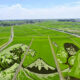 Japón: los arrozales y el trigo se transforman cada año en obras de arte.