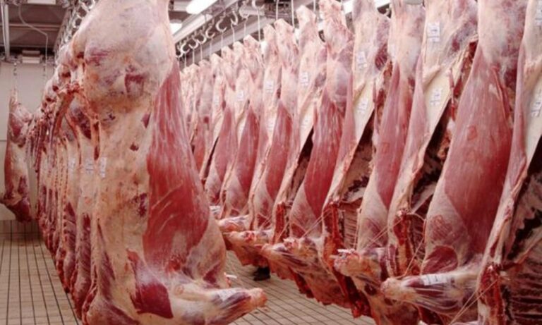 Desde Nación aseguraron que no aceptarán «ningún tipo de abuso» con los precios de la carne vacuna. Desde Nación aseguraron que no aceptarán «ningún tipo de abuso» con los precios de la carne vacuna.