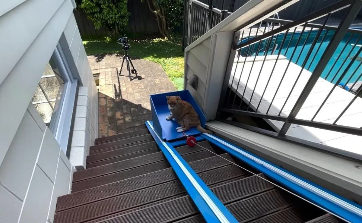Joven construye un sencillo ascensor para ayudar a su anciano gato a subir las escaleras. Joven construye un sencillo ascensor para ayudar a su anciano gato a subir las escaleras.