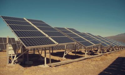 La bodega «Don Doménico» construirá un parque fotovoltaico de paneles solares.